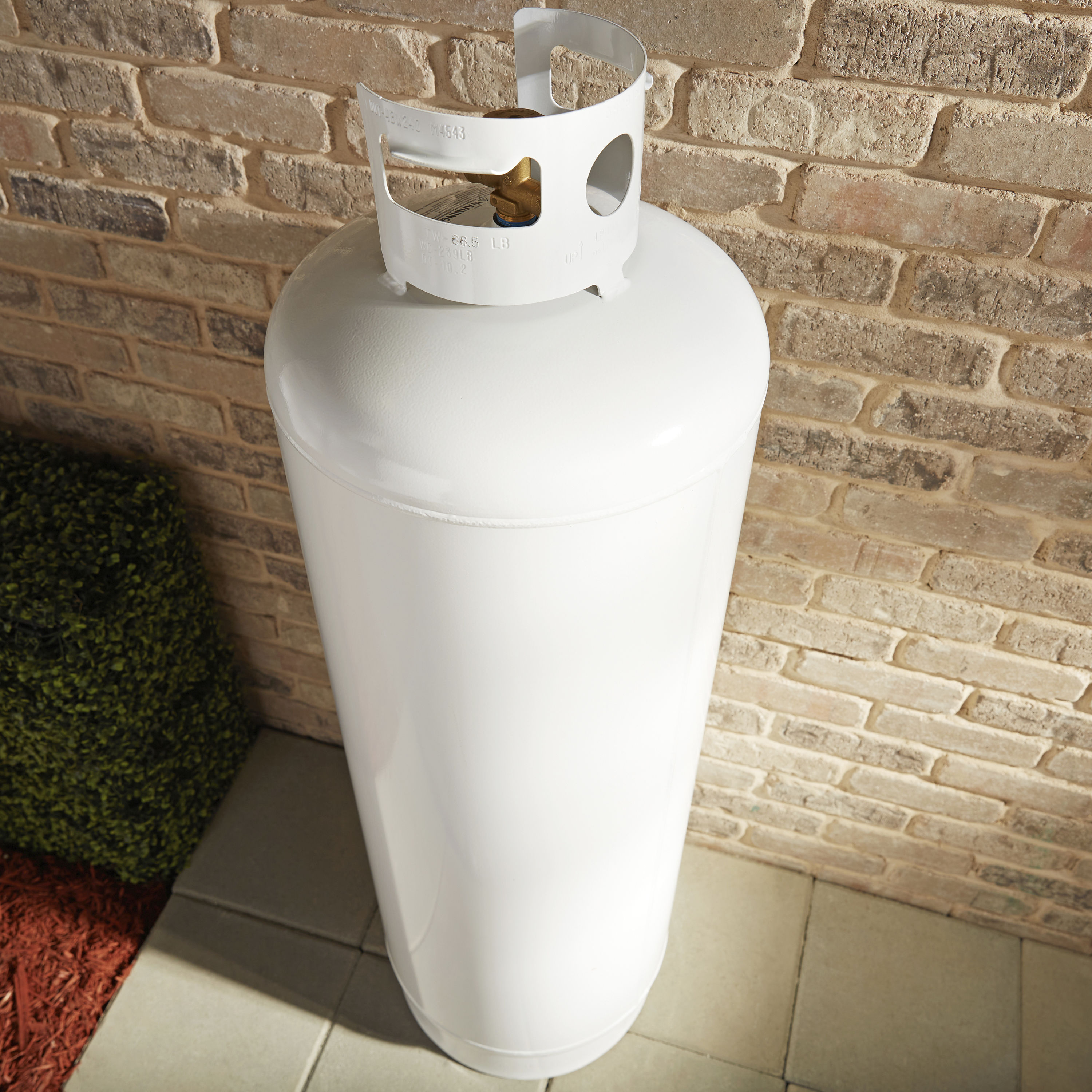 Worthington Pro Grade 100 lb Steel Empty Propane tank