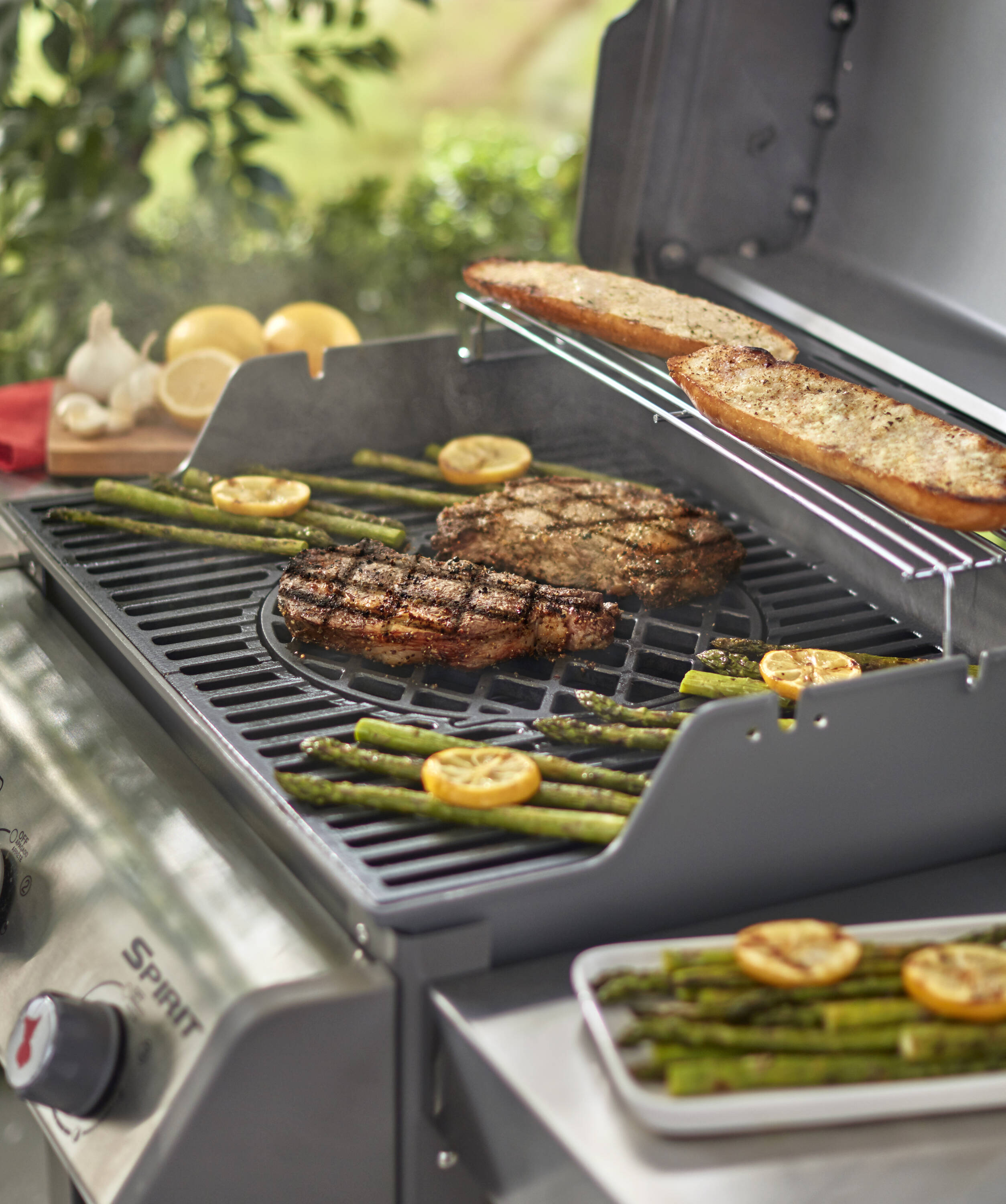 Weber 11.9-in x 11.9-in Round Porcelain-coated cast iron Grilling grate