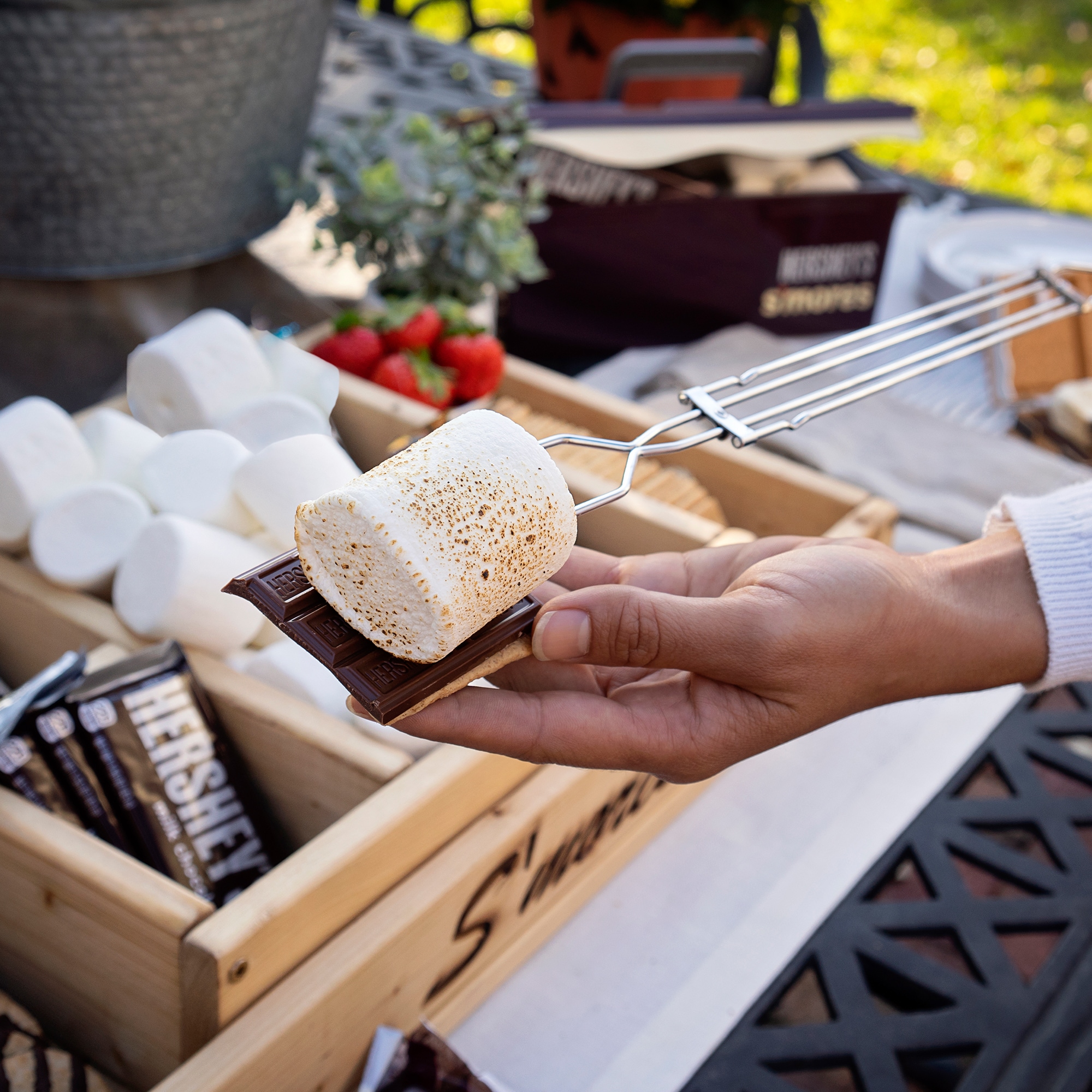 Hershey's S'mores 2 -Piece Stainless steel 2-Prong Fork