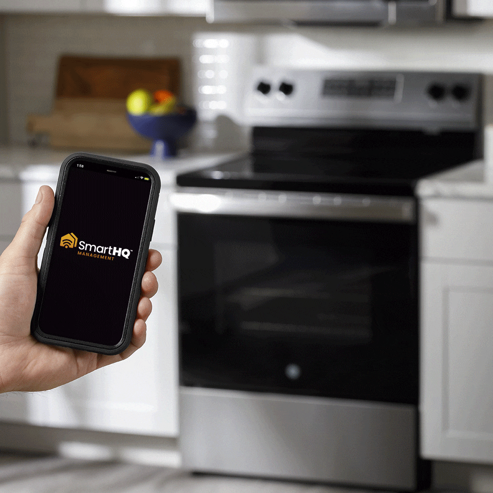 GE 30-in 4 burners 5.3-cu ft Freestanding Natural Gas Range ( Stainless Steel )