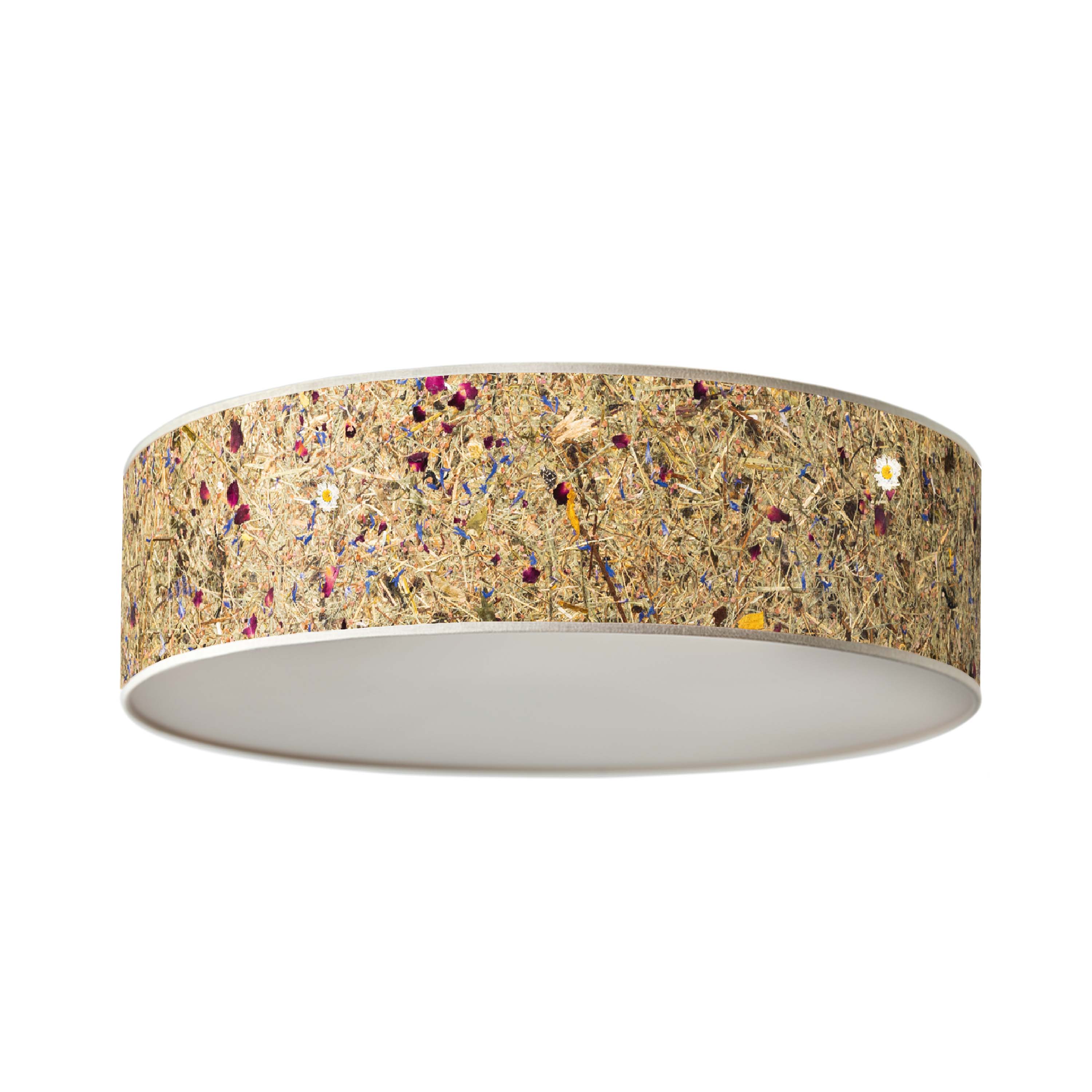 Discus Deckenleuchte Almwiese