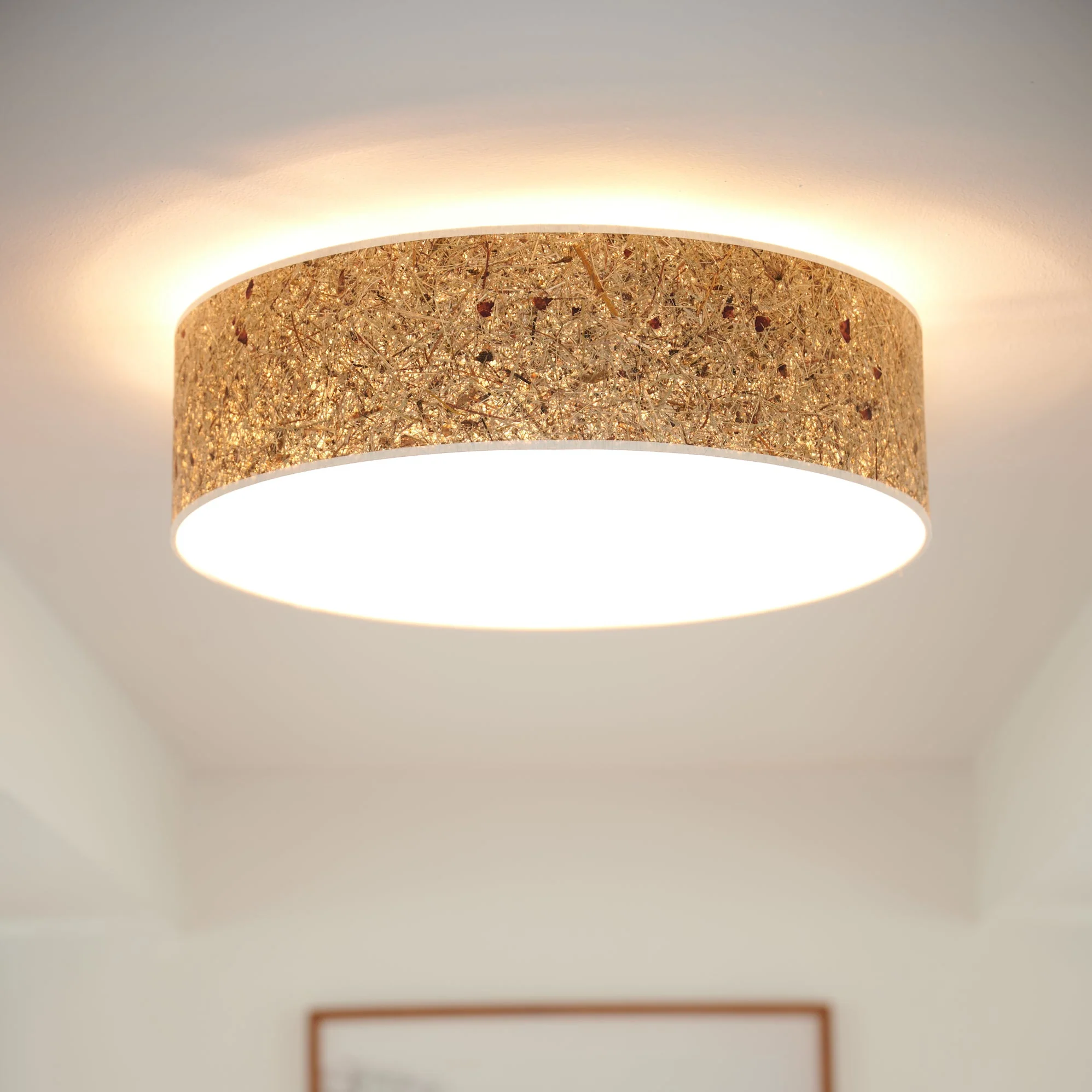 Discus Deckenleuchte Rosenblüte