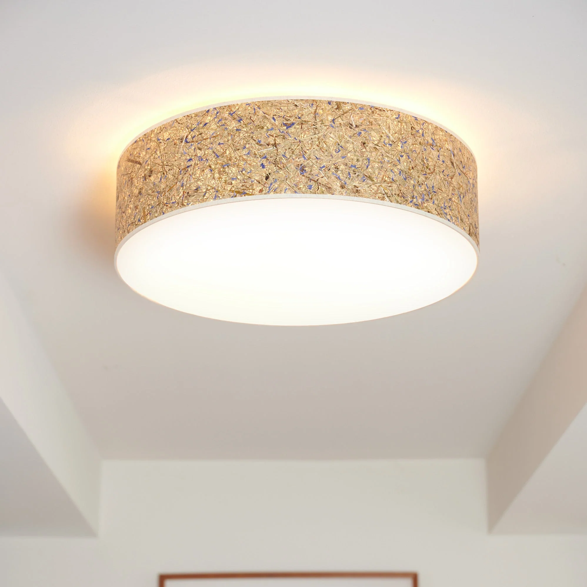 Discus Deckenleuchte Kornblumen