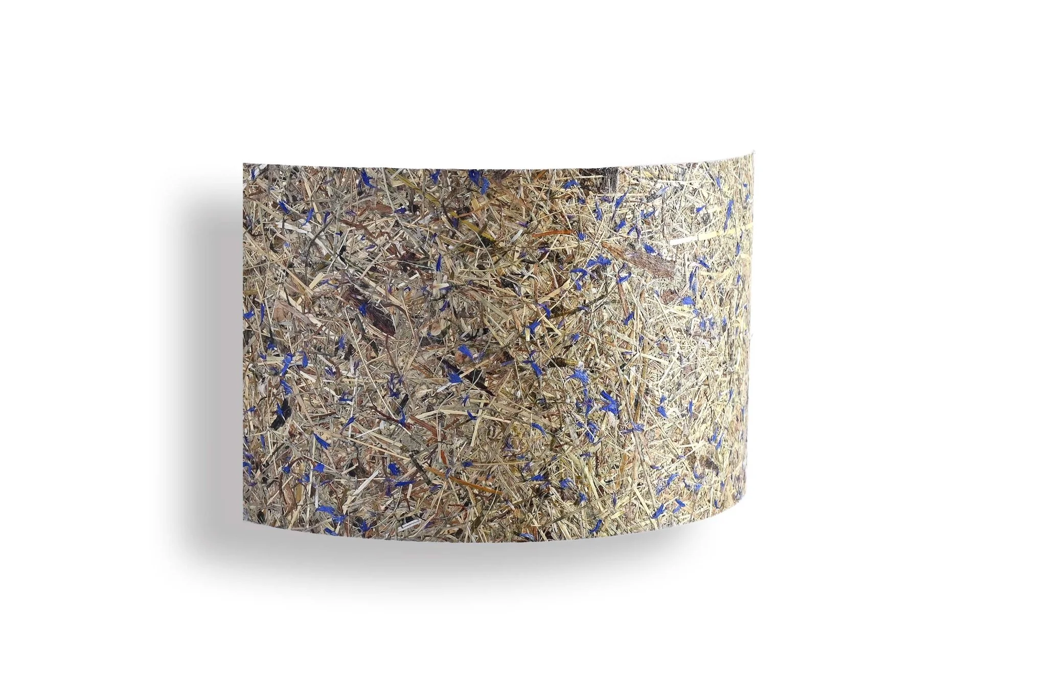 Cortex Wandleuchte Kornblume