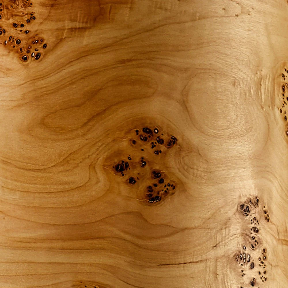 Columna Stehlampe Pappel Maser mit Stab