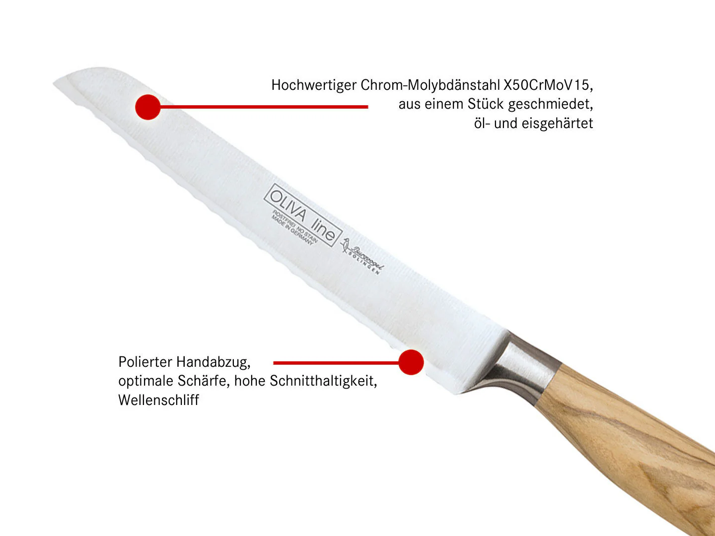 BURGVOGEL Solingen Brötchenmesser OLIVA LINE 13 cm, geschmiedet, Holzgriff
