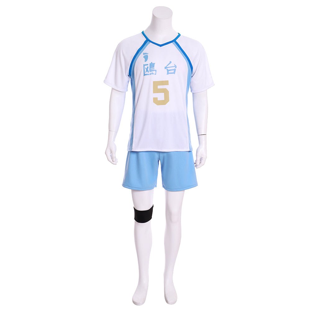 Anime Haikyuu!! Korai Hoshiumi Cosplay Volleyball Trikot Set