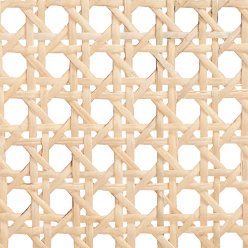 Safavieh Home Collection Saito Black and Natural Low Back Cane 31.5-inch Bar Stool