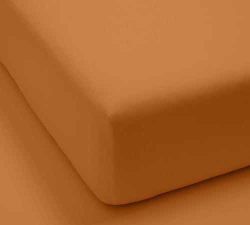 Luxurious Collection 1000 Thread Count 100% Egyptian Cotton Sheet Set (Queen, White)