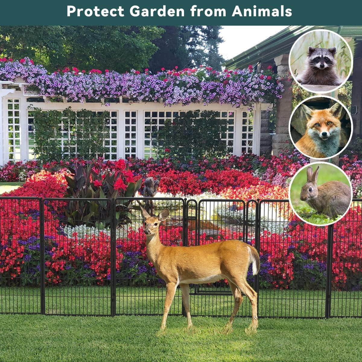 FXW Decorative Garden Metal Fence Temporary Animal Barrier for Yard, 7 Panels+1 Gate, 20'(L)×50