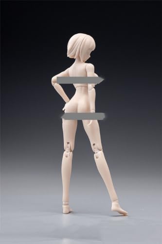 1/12 Scale Female Body,6inch Female Joint Flexible Action Figure Body with Head Sculpt&Stand Collection (Pale Skin, Little Bust)