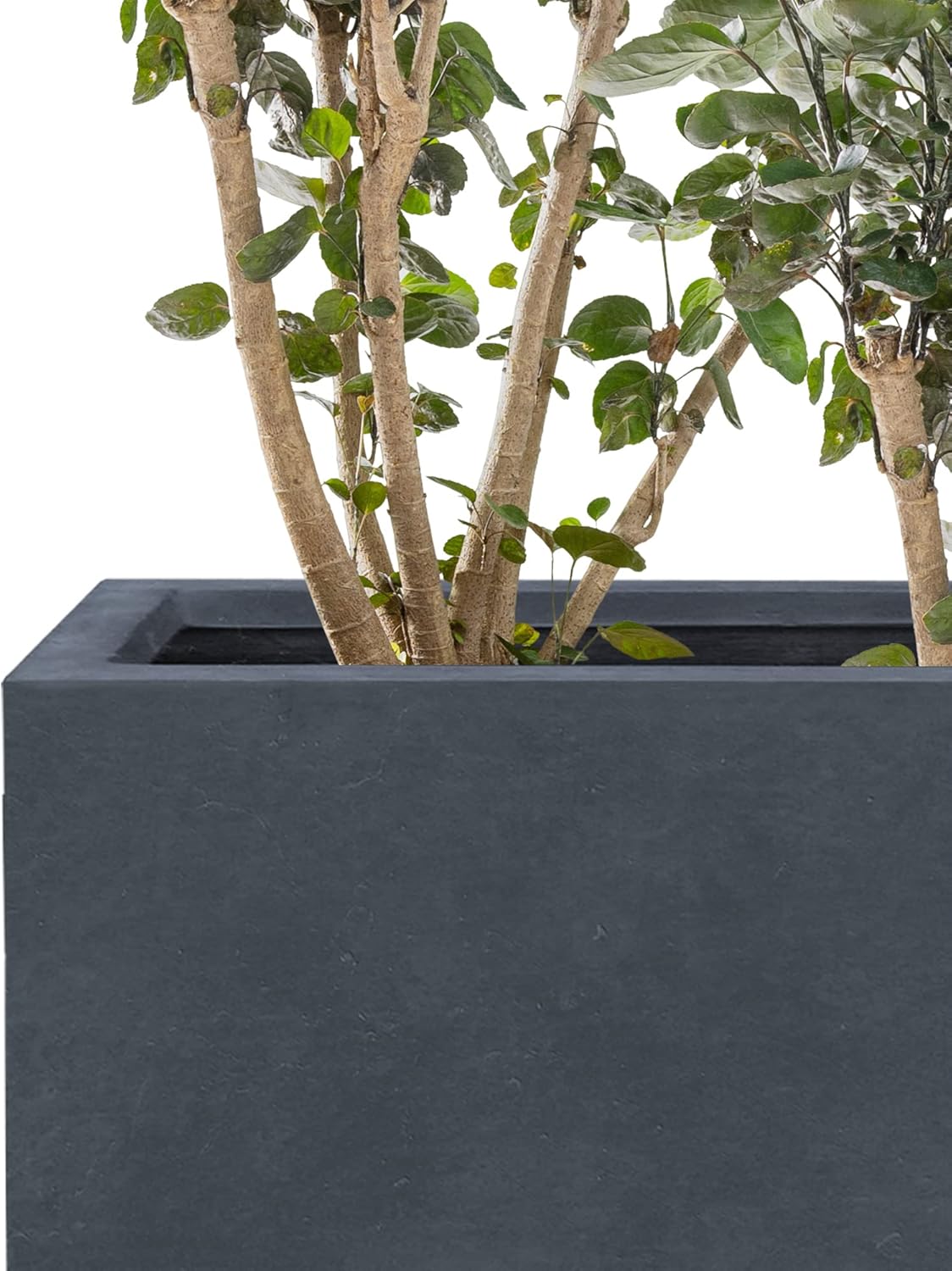Kante RF0111A-C60121 Lightweight Concrete Modern Long & High Rectangle Planter, Charcoal