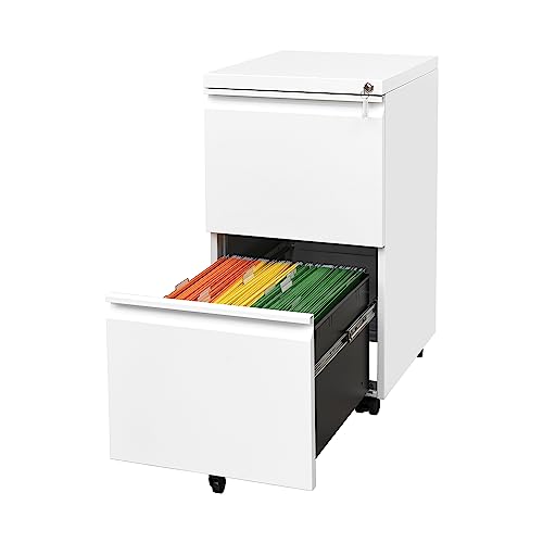 2 Drawer Mobile File Cabinet with Lock, Under Desk Metal Filing Cabinet for Home Office fits Legal/Letter/A4 File, Fully Assembled Except Wheels, Black