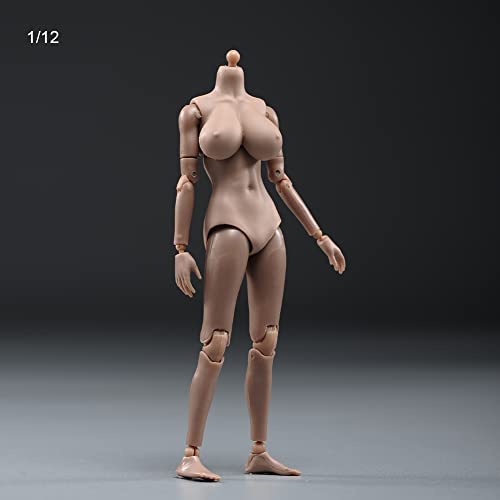 1/12 Scale Female Figure Body,6inch Female Joint Flexible Suntan Skin Action Figure Body Collectible (Huge Bust)