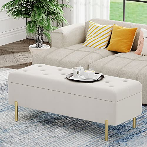 Andeworld Velvet Storage Bench, Modern Bedroom Bench, Upholstered Tufted Large Settee Ottoman with Storage Bench for Bedroom,Living Room,Entryway,Grey