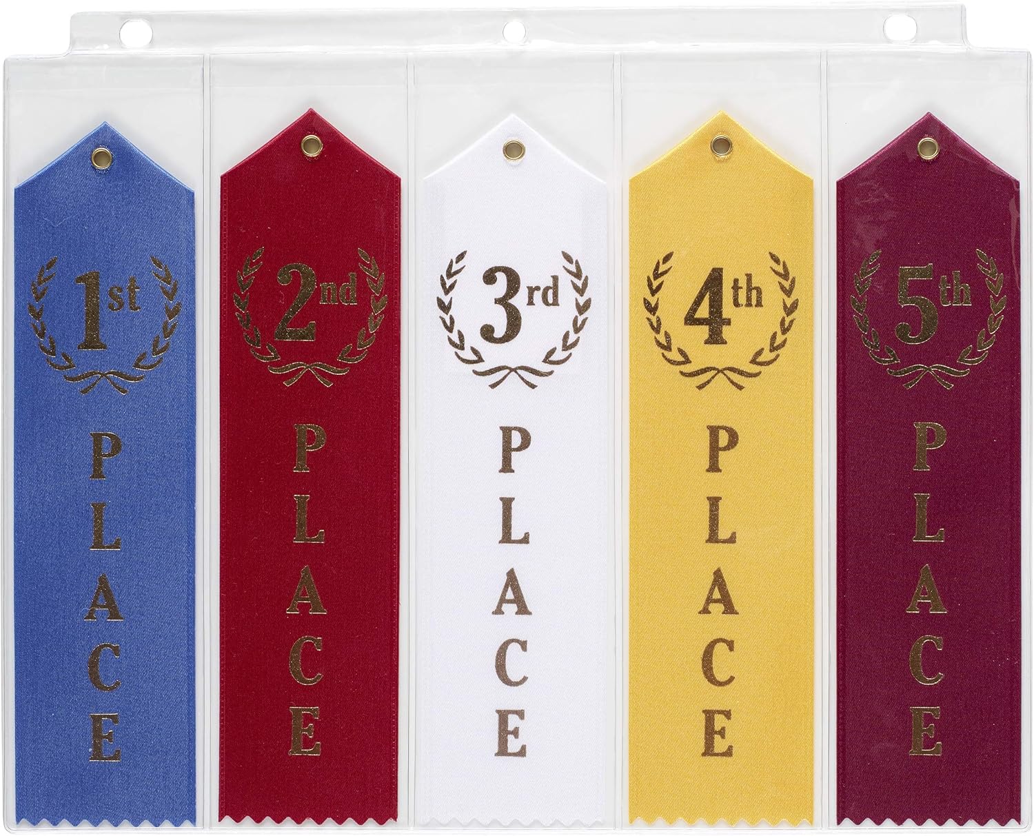 10 Swimming Gymnastics Track Award Ribbon Clear Pages Sheets Organizer Storage Holder Display - Mercurydean