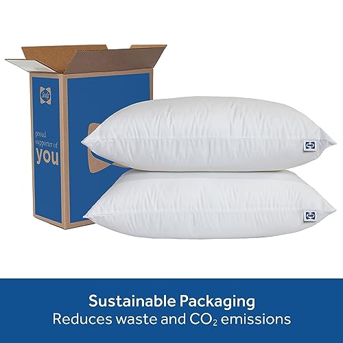 SEALY Pillow, Clean Luxury Slumber Bed Pillow with Hypoallergenic Fiberfill, Standard/Queen Pillows - 2 Pack