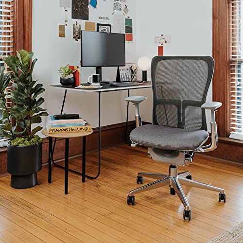 Haworth Zody Dual Posture Mesh Office Chair – Ergonomic Desk Chair with Forward Tilt Option – with Lumbar Support (Cement)