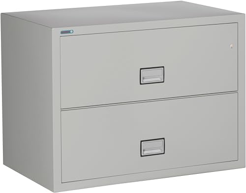 Phoenix Lateral 31 inch 2-Drawer Fireproof File Cabinet with Key Lock, Water Seal, Black, LAT2W31B