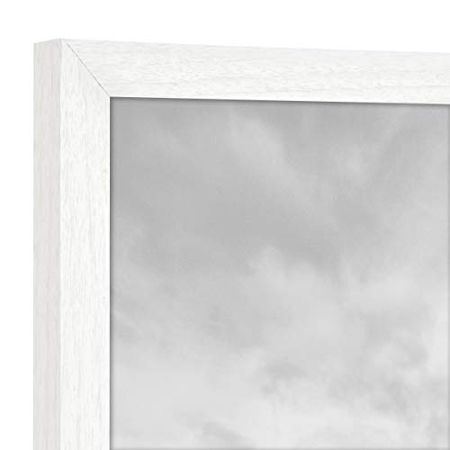 MCS Gallery Essential Picture Frames, Photo Gallery Wall Frame Set, White Woodgrain, 8 x 10 Inch, 2-Pack