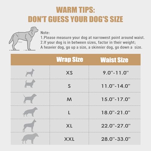 wegreeco Washable Male Dog Belly Band (Stylish Pattern)- Pack of 3 - Washable Male Dog Belly Wrap, Dog Diapers Male (Cool Design, Medium)