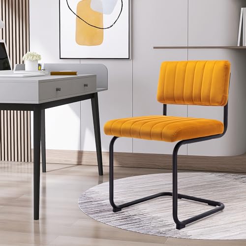 Velvet Dining Chairs Set of 2, Green Dining Room Chairs with Metal Legs and Comfortable Cushion, Upholstered Cesca Chairs for Dining Room Kitchen Room Reading Room