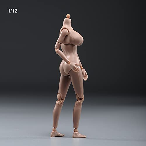 1/12 Scale Female Figure Body,6inch Female Joint Flexible Suntan Skin Action Figure Body Collectible (Huge Bust)