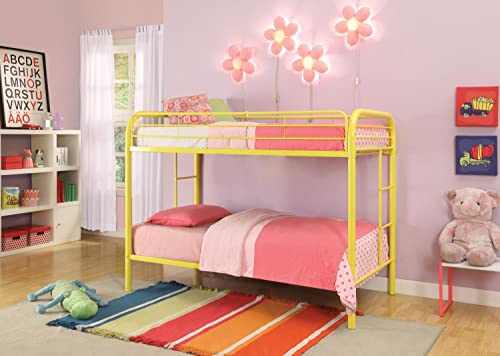 Acme Furniture Thomas Twin Bunk Bed in Rainbow