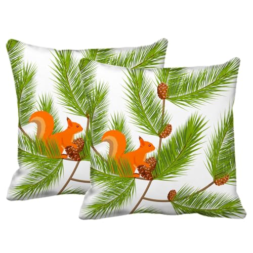 Blue Green Throw Pillow Covers Cases 18x18 Set of 2 Neutral Accent Modern Farmhouse Nautical Pillow Covers with Soft Chenille Decorative for Couch Bed Living Room Outdoor