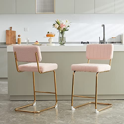 Farini Counter Height Bar Stools Set of 2,27 inch Modern Barstools Velvet Backrest Solid Metal Base Barstools Side Chairs for Kitchen Dining Bar Chairs(Light Grey)