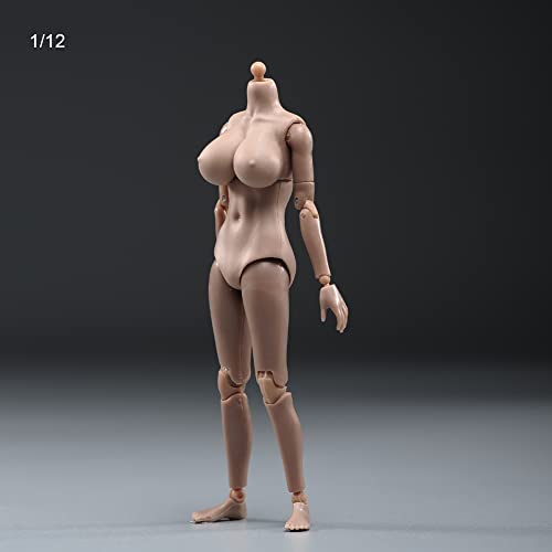 1/12 Scale Female Figure Body,6inch Female Joint Flexible Suntan Skin Action Figure Body Collectible (Huge Bust)