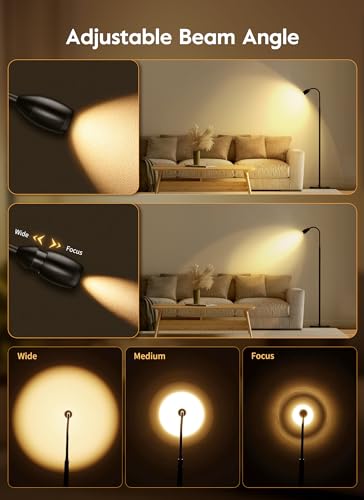 Brightown LED Floor Lamp - 18W Bright Lamp with Remote & Touch Control - 4 Color Temperatures with Memory & Timer, Adjustable Gooseneck for Reading - Ideal for Living Room, Bedroom, Office