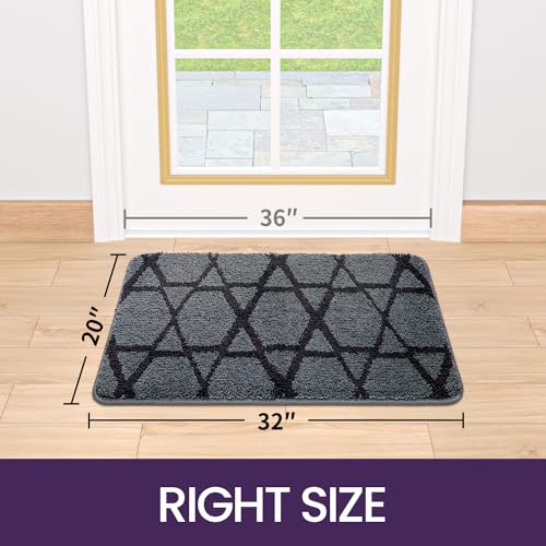 DEXI Door Mats Indoor, Absorbent Non Slip Front Door Rugs for Inside House, Low Profile Easy Clean Entrance Mat, 36