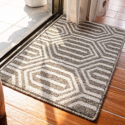 morgantag Indoor Doormat Back Door Mats for Inside House,Outdoor Mat for Front Door, Waterproof and No-Slip Washable Door Mats for Home, Entry, Bathroom, Living Room, 20