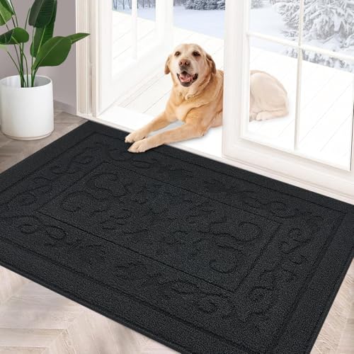 FONEYI Indoor Door Mat, Front Back Door Mat 24