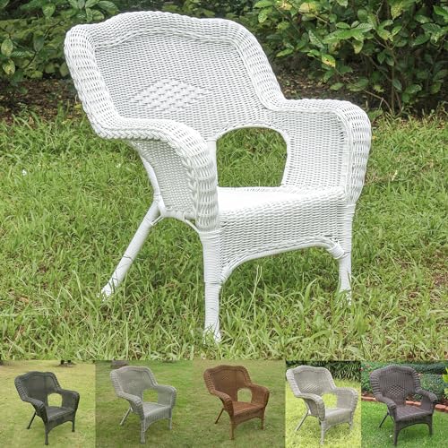 International Caravan Furniture Piece Camelback Resin Wicker Patio Chairs (Set of 2)
