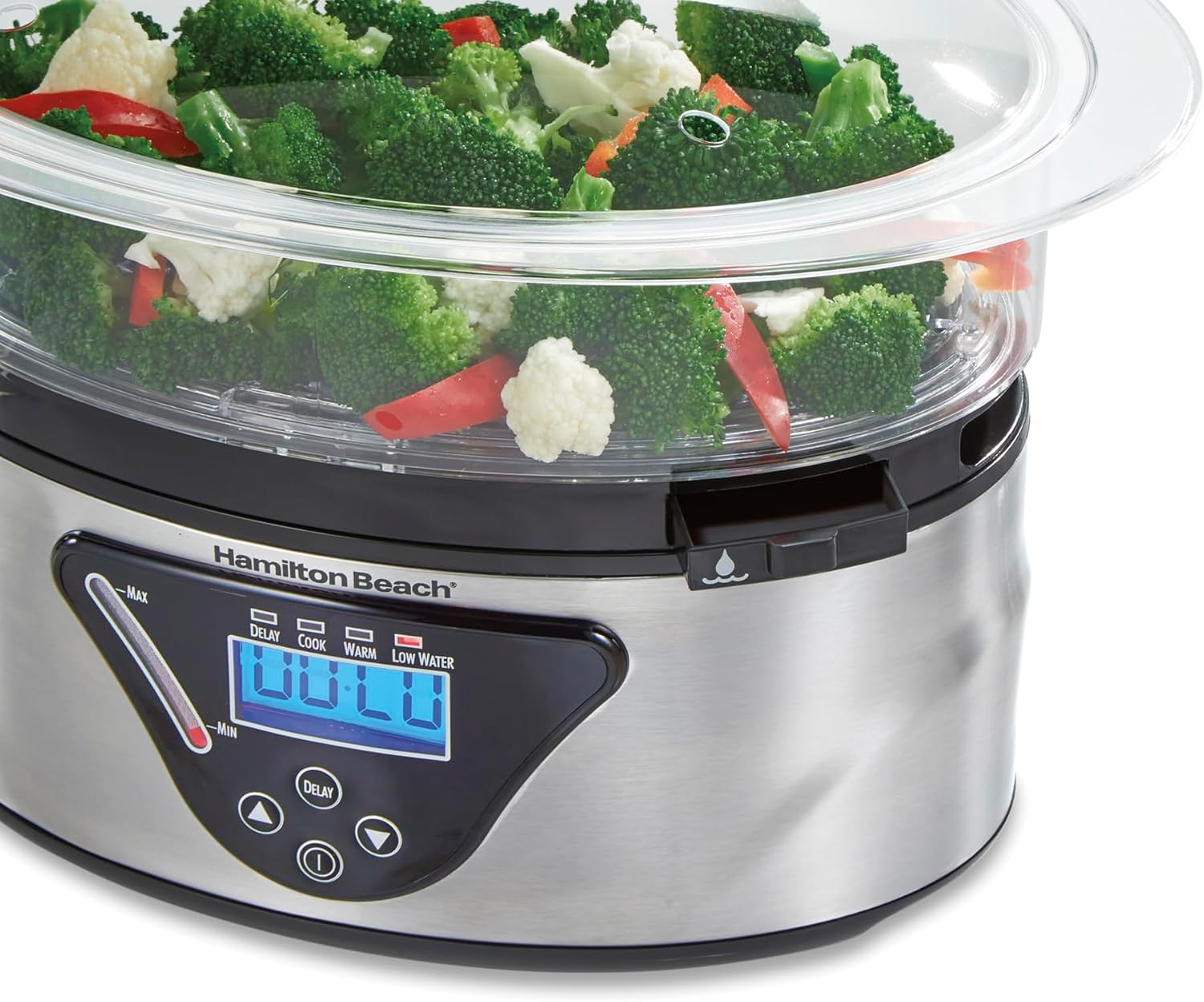 Hamilton Beach 37530C Digital Steamer, 5.5 quart, Multicolor