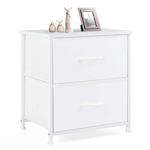 Sweetcrispy Nightstand with 2 Storage Drawers, 20