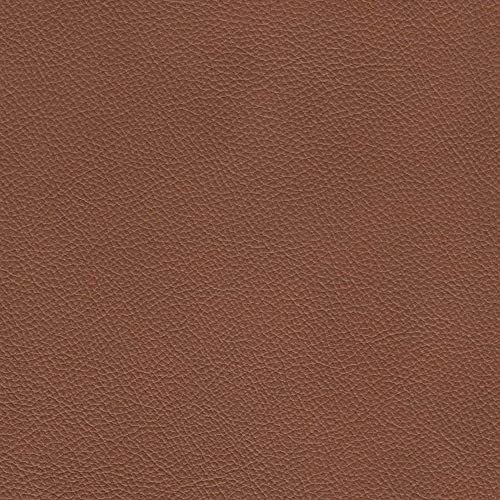 Hydeline Soma Top Grain Leather Chair, Cognac Brown