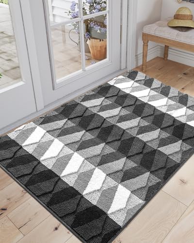 DEXI Door Mat, Non Slip Absorbent Washable Entryway Mat, Low Profile Inside Doormats for Home Entrance, Front Door, 20