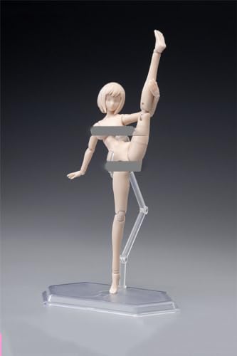 1/12 Scale Female Body,6inch Female Joint Flexible Action Figure Body with Head Sculpt&Stand Collection (Pale Skin, Little Bust)