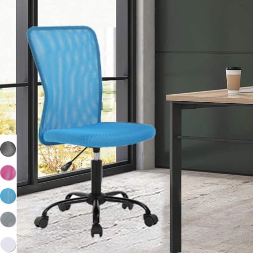 Home Office Chair Mesh Desk Chair, Armless Cheap Computer Chair Ergonomic Task Chair, Rolling Swivel Back Support Adjustable Modern Executive Chair with Lumbar Support Wheel (White)