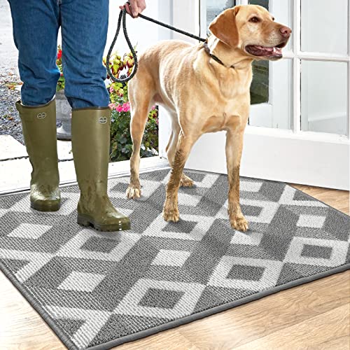 DEXI Entryway Rug Non-Slip Indoor Door Mat, Low-Profile Front Door Mat Washable Door Mat Indoor Entrance,20