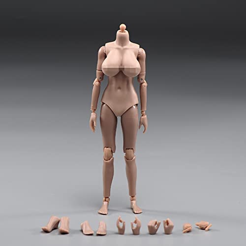 1/12 Scale Female Figure Body,6inch Female Joint Flexible Suntan Skin Action Figure Body Collectible (Huge Bust)