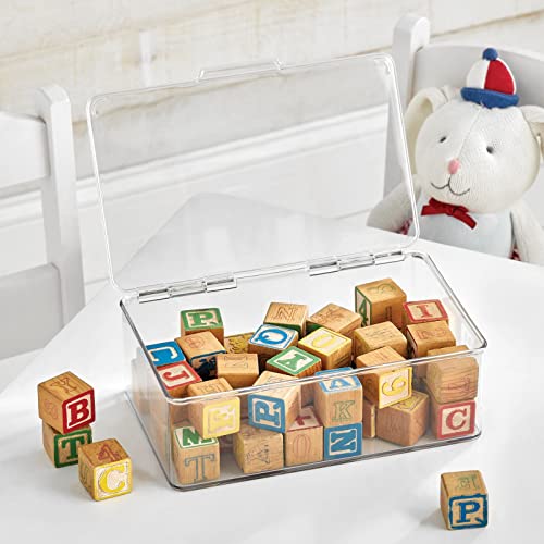mDesign Plastic Household Storage Bin Box Organizer Container with Hinge Lid for Kitchen, Office, Bathroom, Bedroom, Hold Food, Snacks, Makeup, Toys, Work Supplies, Accessories - Clear