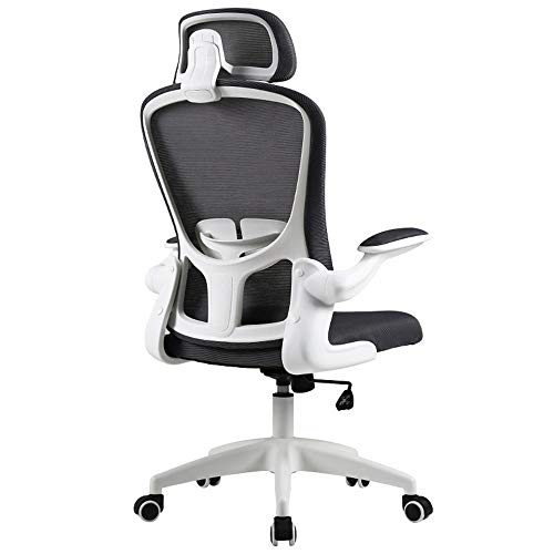 Ergonomic Swivel Mesh Office Chair Flip Up Armrests with Lumbar Support Adjustable Height Computer Task Chairs-Black No head pillow