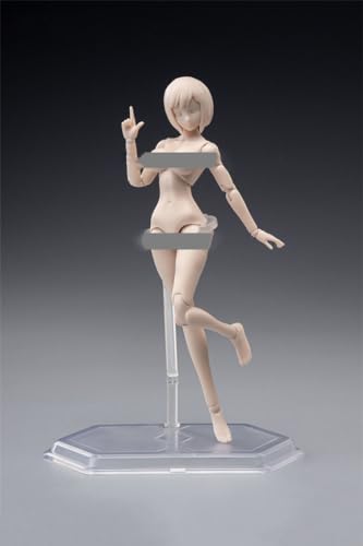 1/12 Scale Female Body,6inch Female Joint Flexible Action Figure Body with Head Sculpt&Stand Collection (Pale Skin, Little Bust)