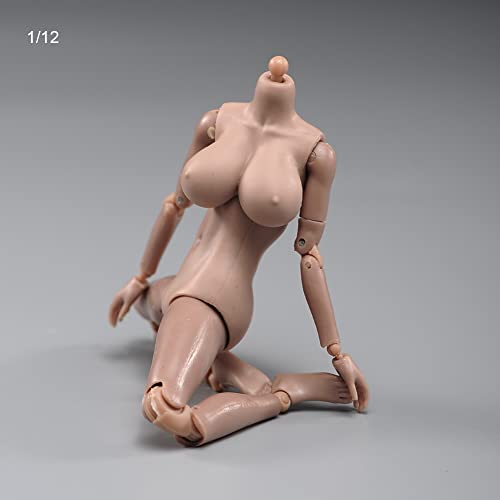 1/12 Scale Female Figure Body,6inch Female Joint Flexible Suntan Skin Action Figure Body Collectible (Huge Bust)