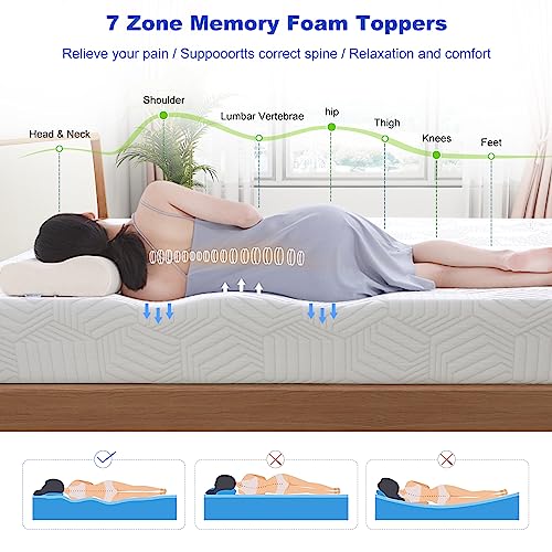 Maxspeed EGO Blue 8 Inch Twin Memory Foam Mattress, Cooling Gel Green Tea Mattress Bed in a Box, CertiPUR-US Certified, Fiberglass Free, Kids Mattress for Bunk Bed, Medium Firm