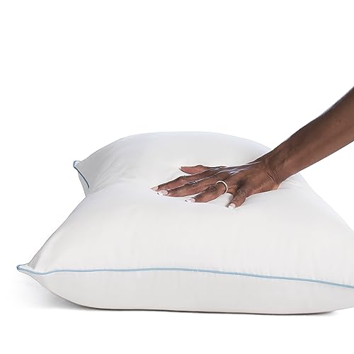 SEALY Pillow, Clean Luxury Slumber Bed Pillow with Hypoallergenic Fiberfill, Standard/Queen Pillows - 2 Pack